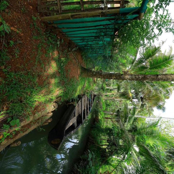 Photo of Others in Munroe Island