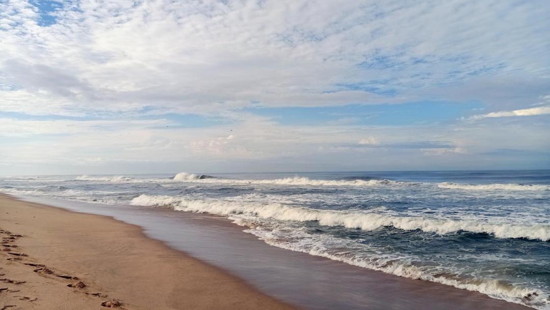 Photo of Others in Varkala