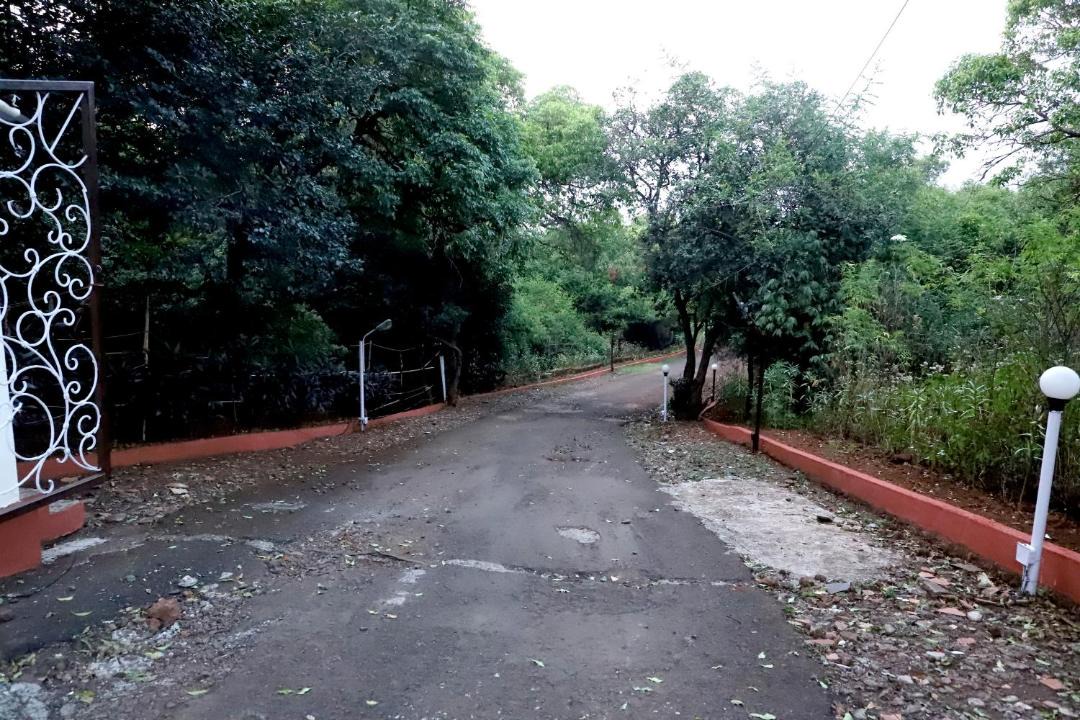 Photo of Others in Mahabaleshwar