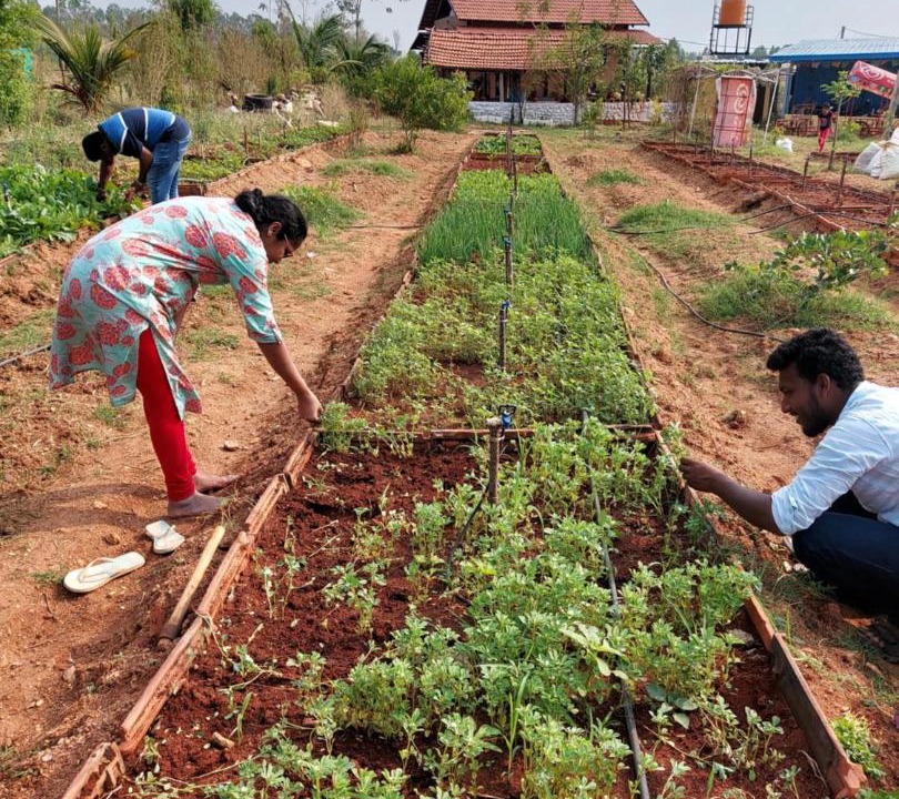 Photo of Others in Doddaballapur