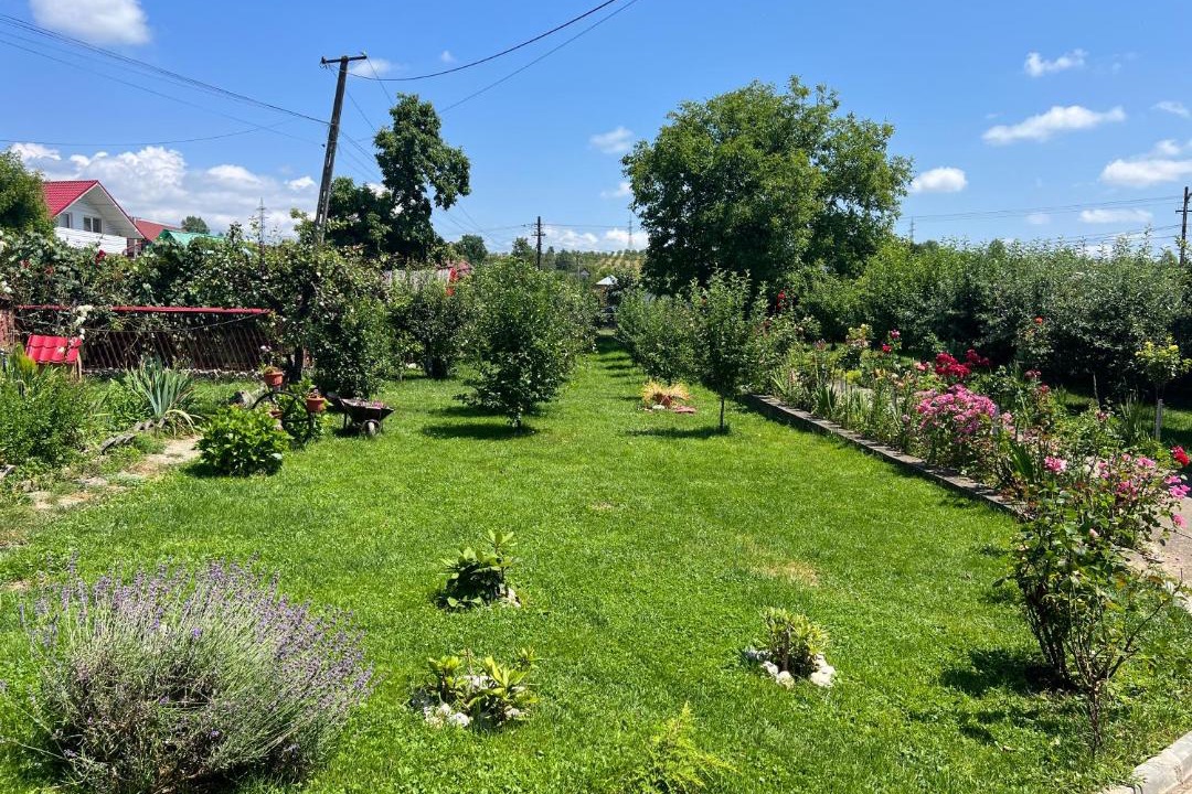 Photo of Outdoor in Horezu