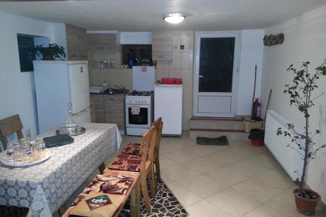 Photo of Kitchen in Ocna Sugatag