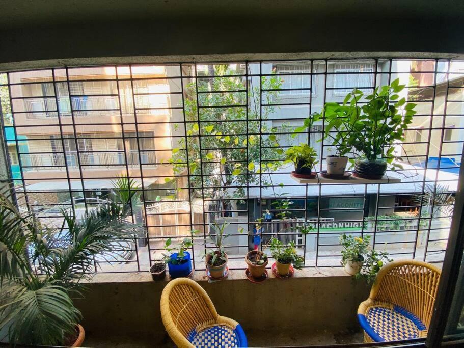 Photo of Others in Khar