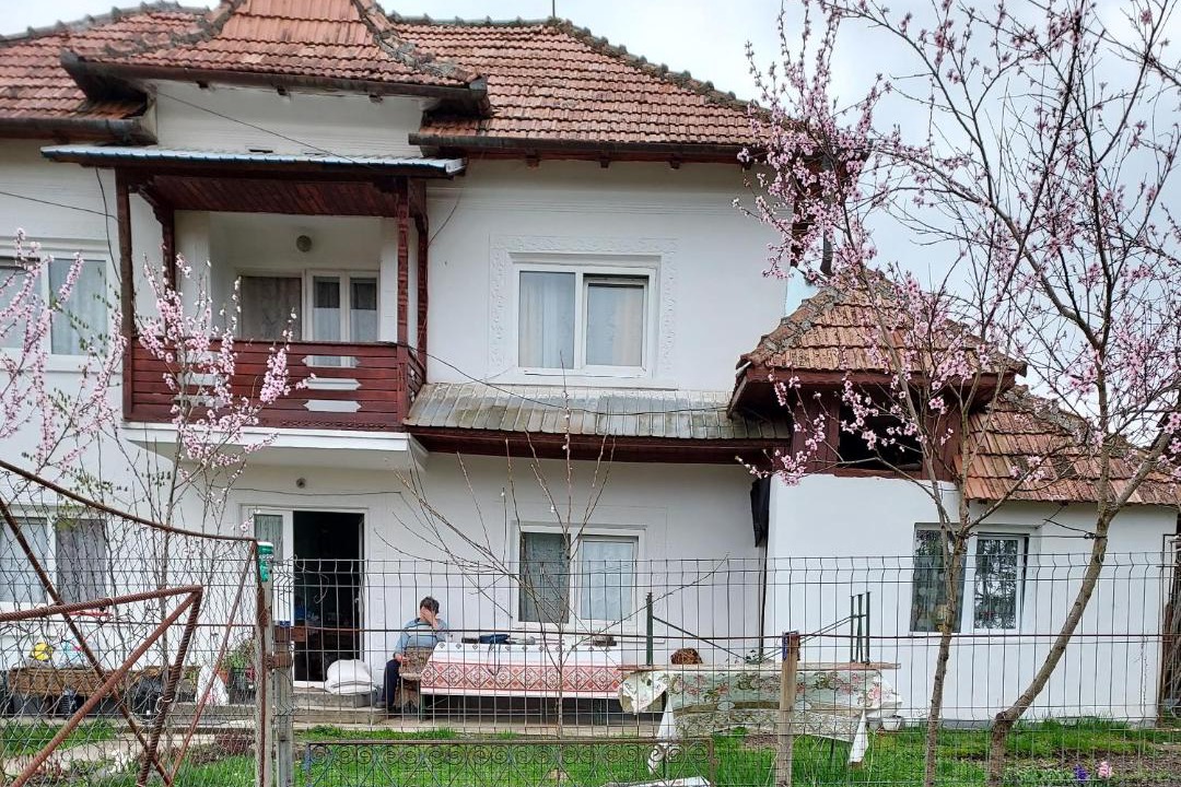 Photo of Others in Hartiesti