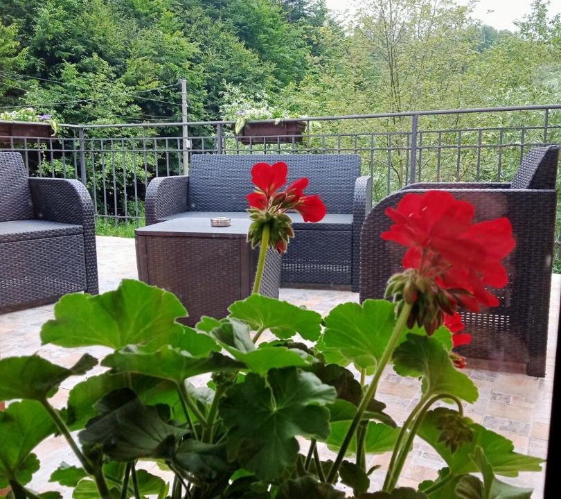 Photo of Patio Balcony in Cartisoara
