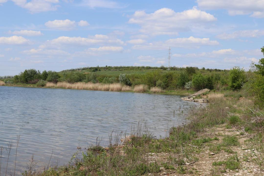 Photo of Others in Zorleni
