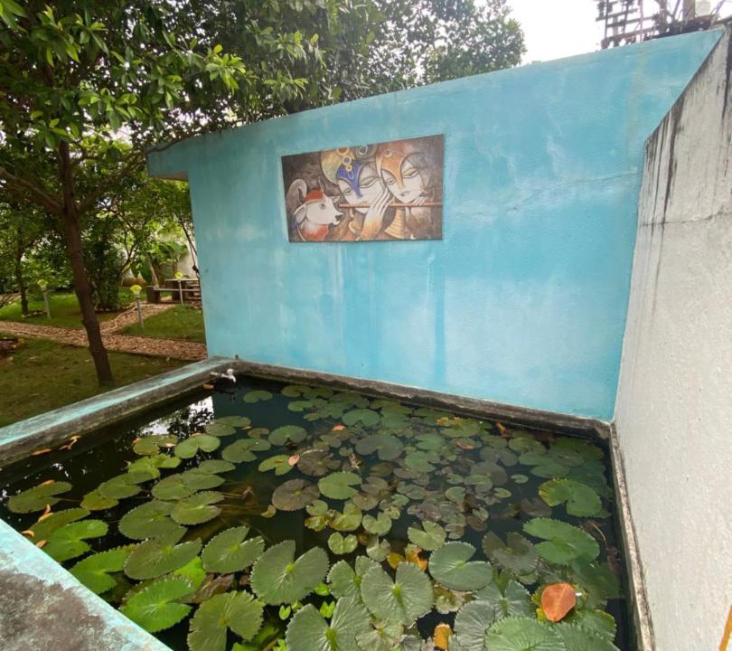 Photo of Others in Kalapettai