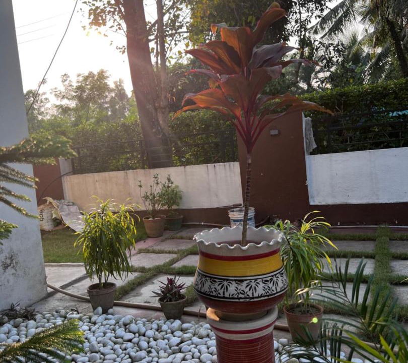 Photo of Patio Balcony in Noorpur