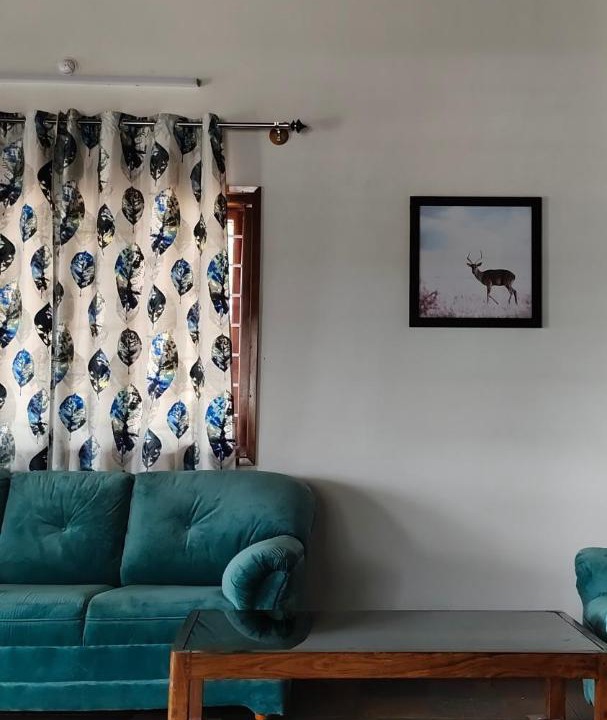 Photo of Livingroom in Alur
