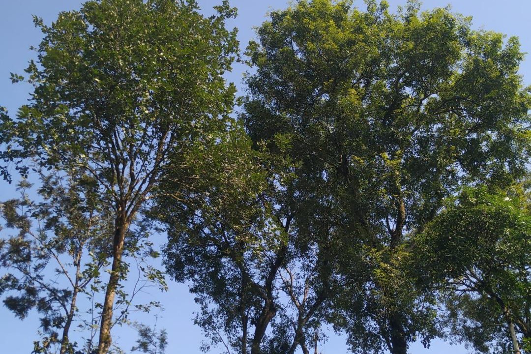 Photo of Outdoor in Kakabe