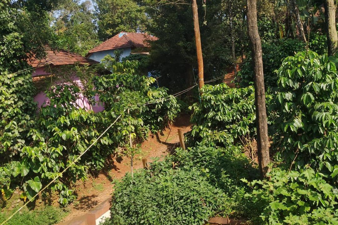 Photo of Outdoor in Kakabe