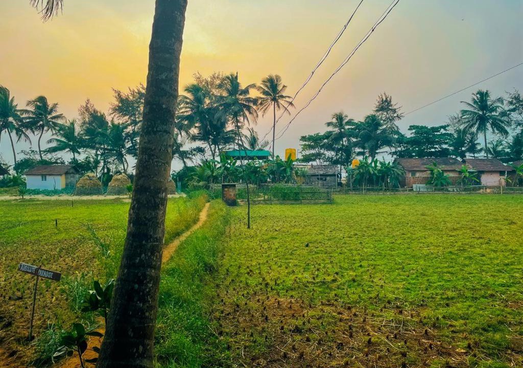 Photo of Outdoor in Hireguthi