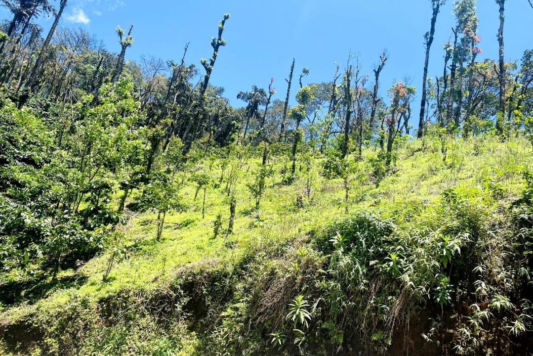 Photo of Outdoor in Katakeri Rural