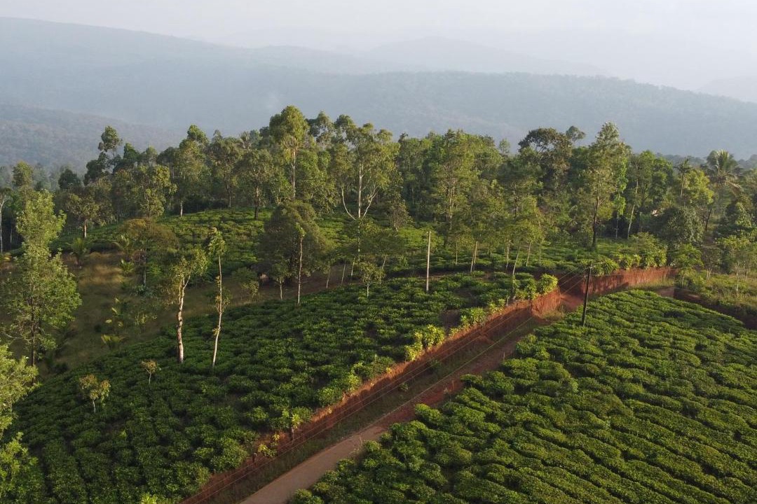 Photo of Outdoor in Elappara