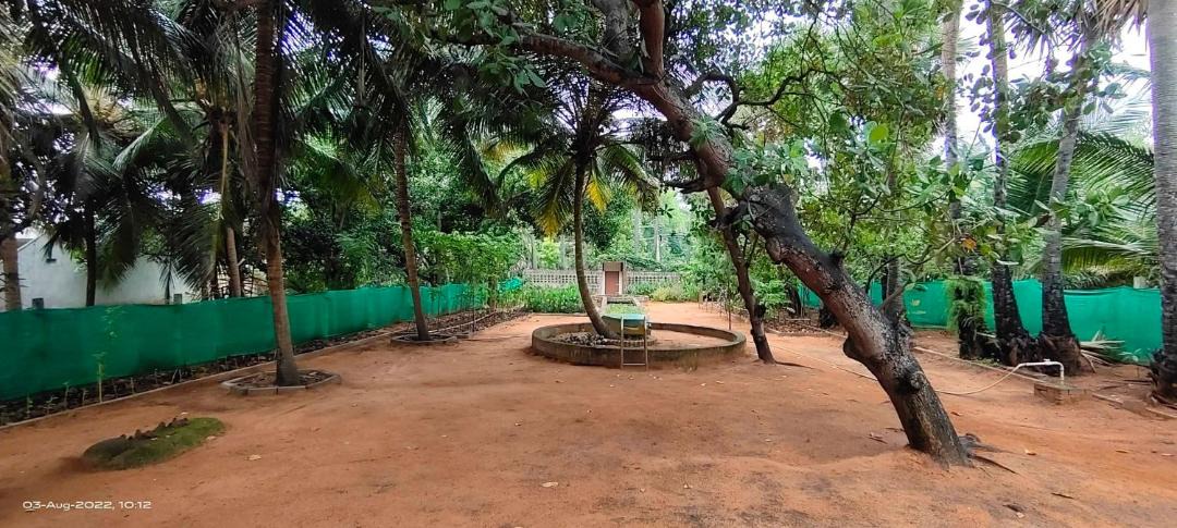 Photo of Outdoor in Cheyyur