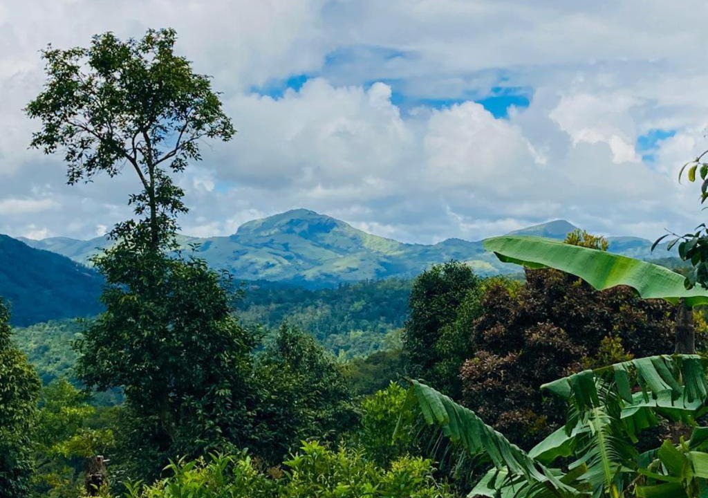 Photo of Outdoor in Somvarpet