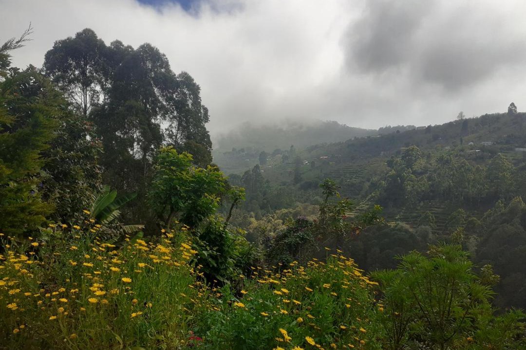 Photo of Outdoor in Kodaikanal