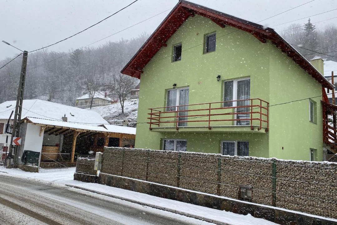 Photo of Others in Cavnic
