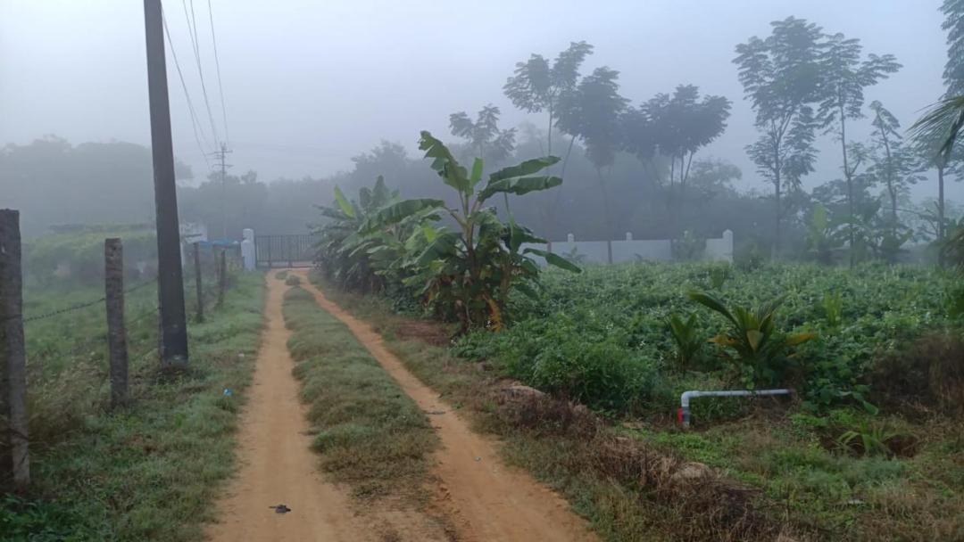 Photo of Outdoor in Koratagere
