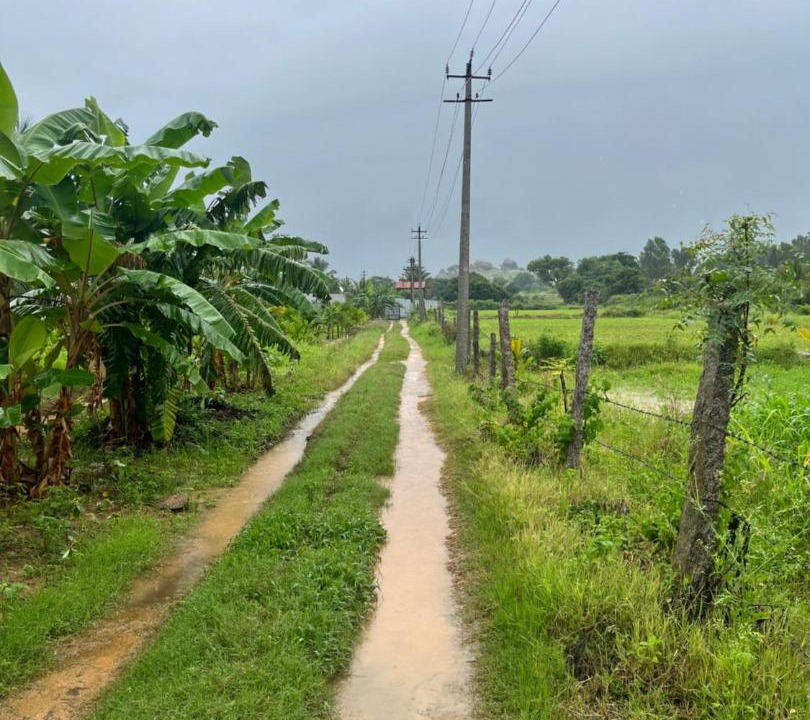 Photo of Others in Koratagere