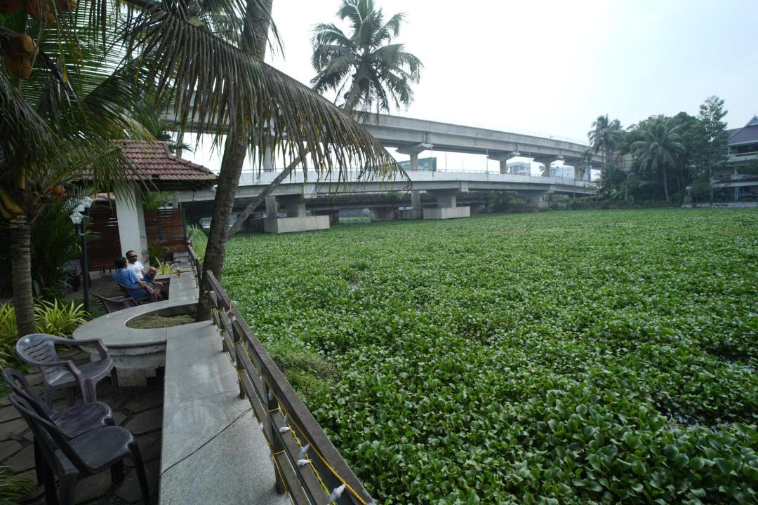 Photo of Others in Thrippunithura