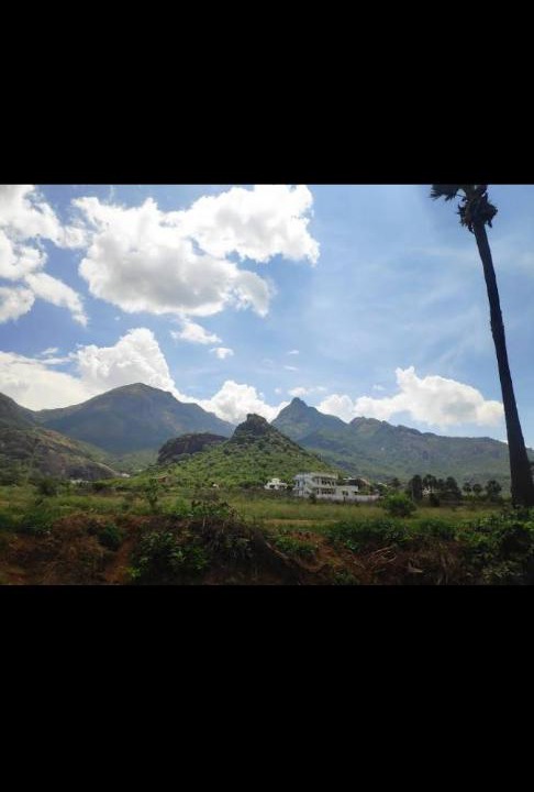 Photo of Others in Tenkasi