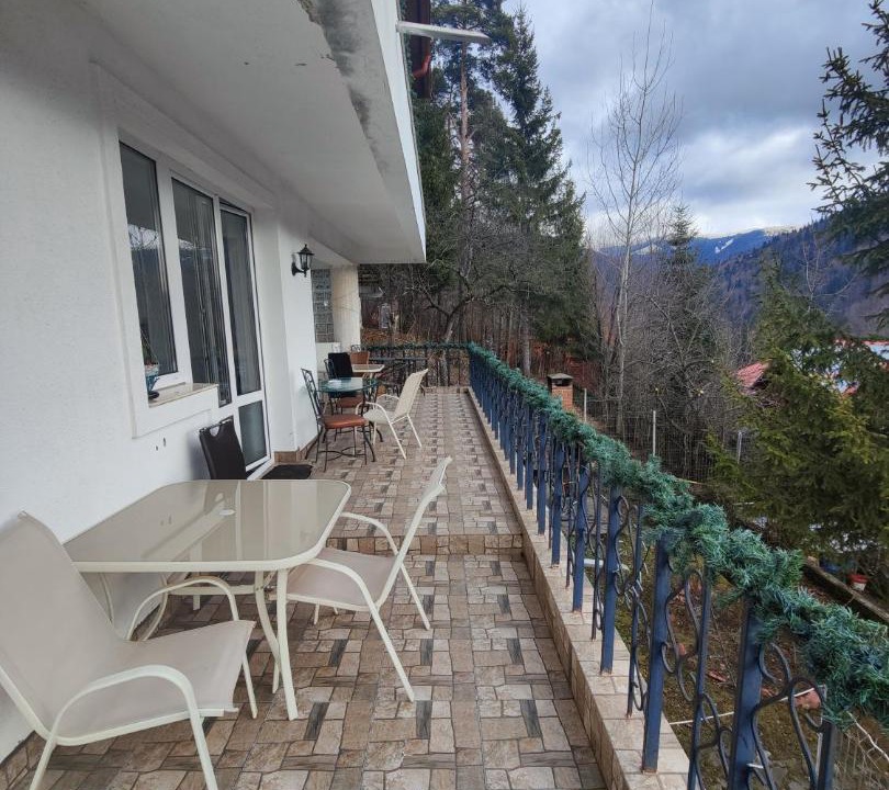 Photo of Others in Sinaia