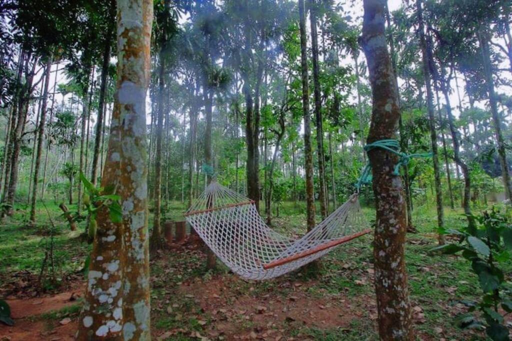Photo of Others in Kidanganad