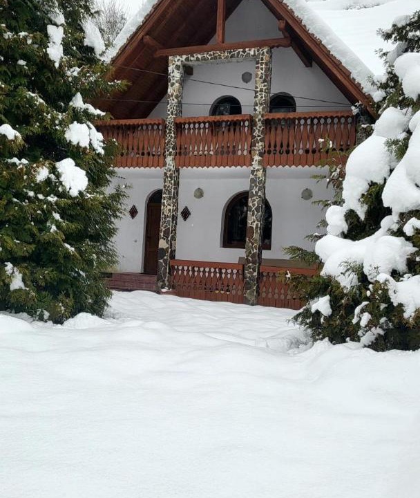 Photo of Buildings in Cartisoara