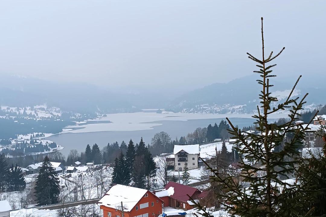 Photo of Others in Colibita