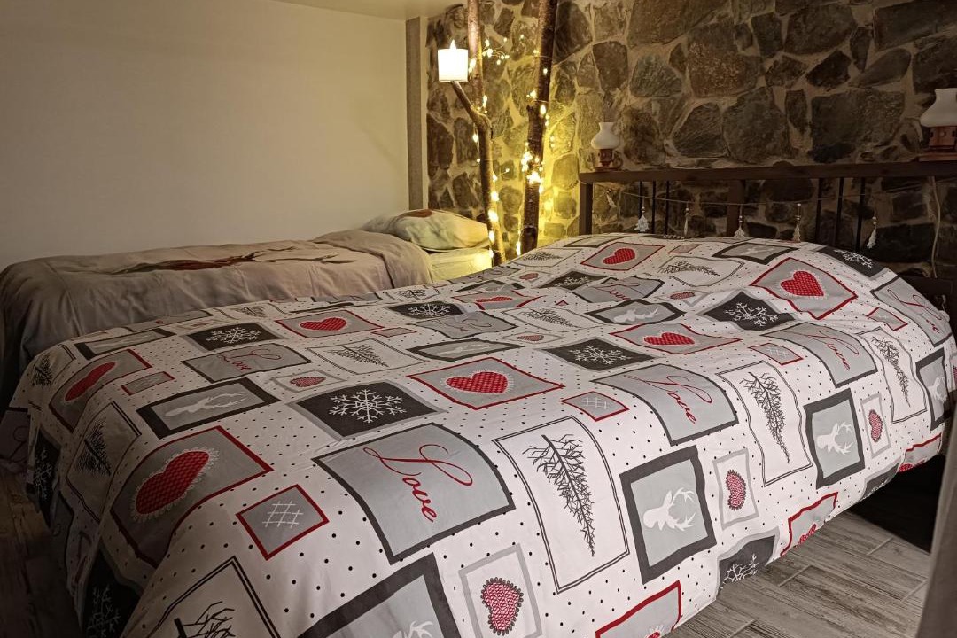 Photo of Bedroom in Colibita