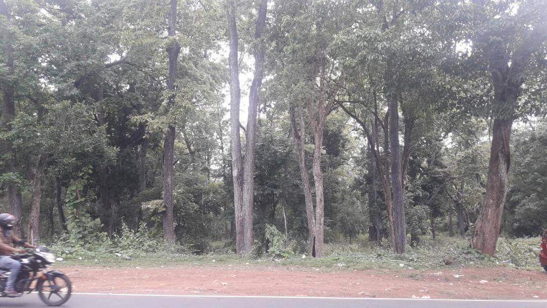 Photo of Outdoor in Kattikkulam