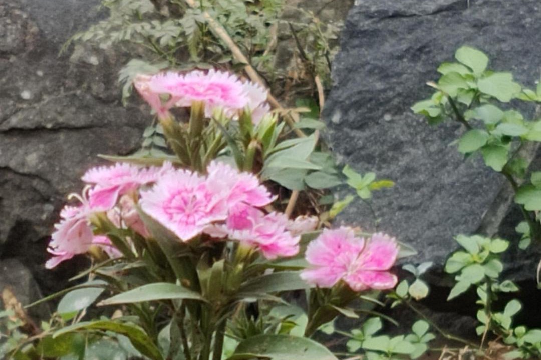 Photo of Outdoor in Yercaud