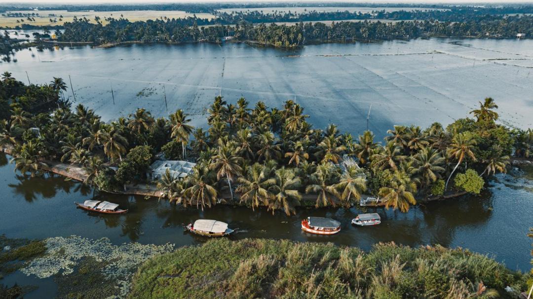 Photo of Others in Mararikulam
