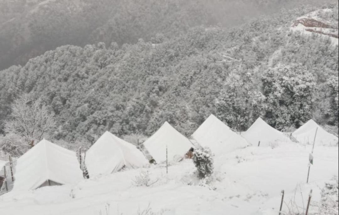 Photo of Bedroom in Dhanaulti