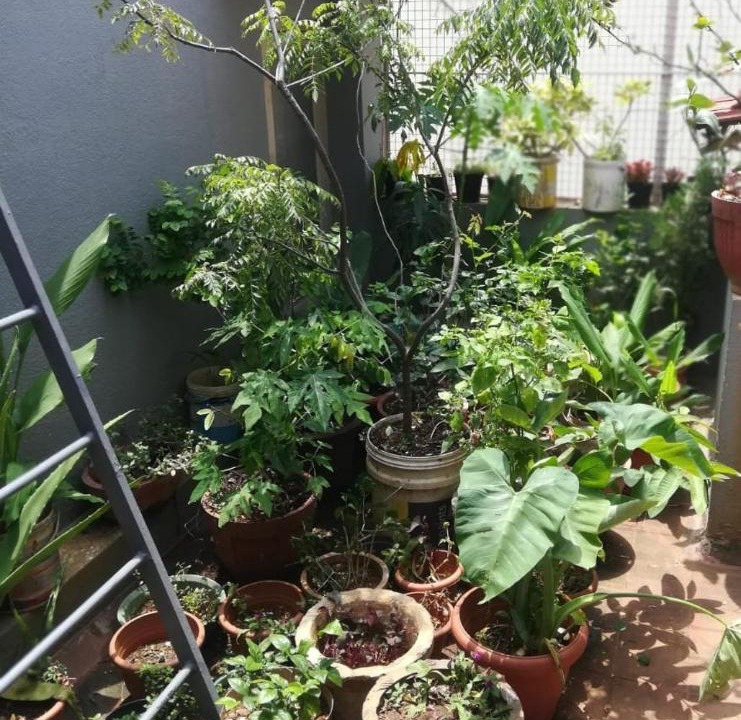 Photo of Patio Balcony in Banswadi