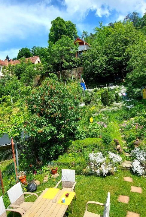 Photo of Others in Sighisoara