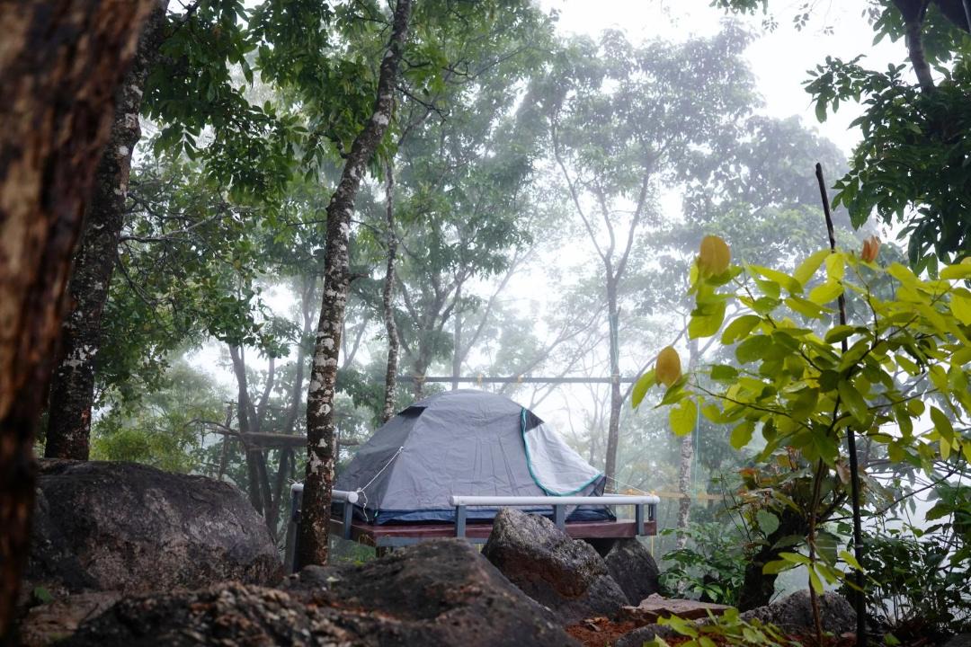 Photo of Others in Thalassery