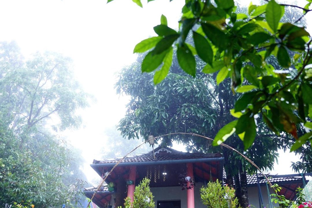 Photo of Buildings in Thalassery