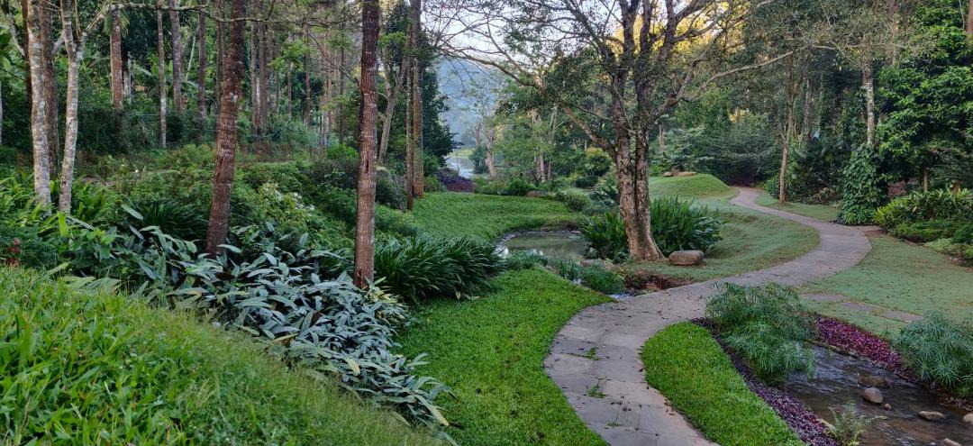Photo of Others in Kodaikanal