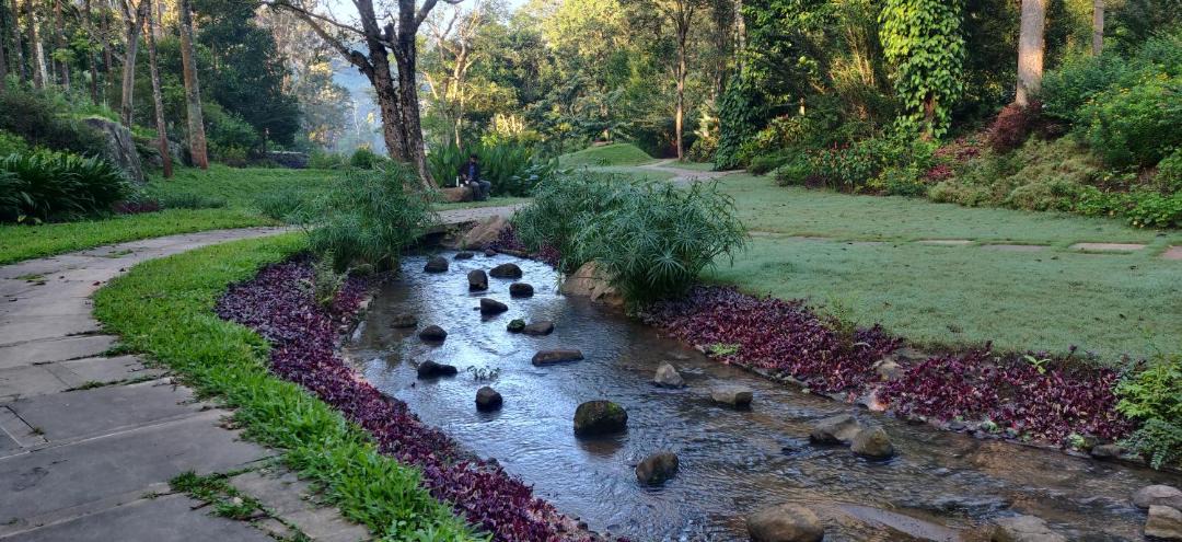 Photo of Others in Kodaikanal