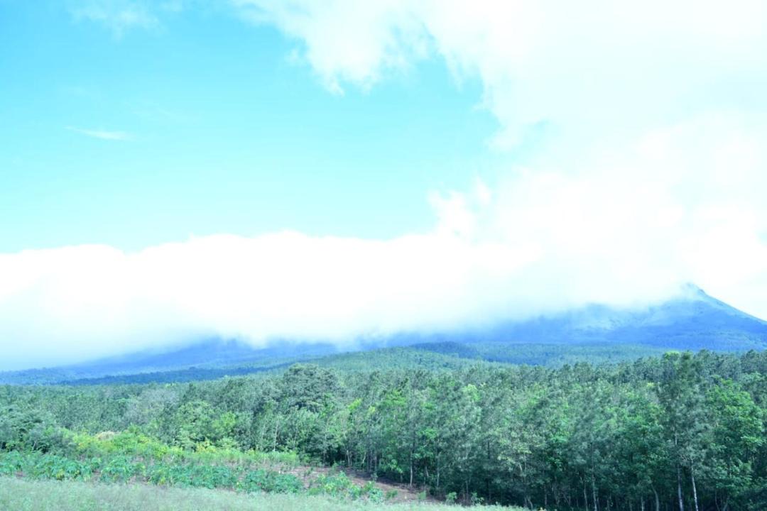 Photo of Outdoor in Chikkamagaluru