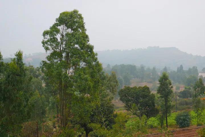 Photo of Outdoor in Medha