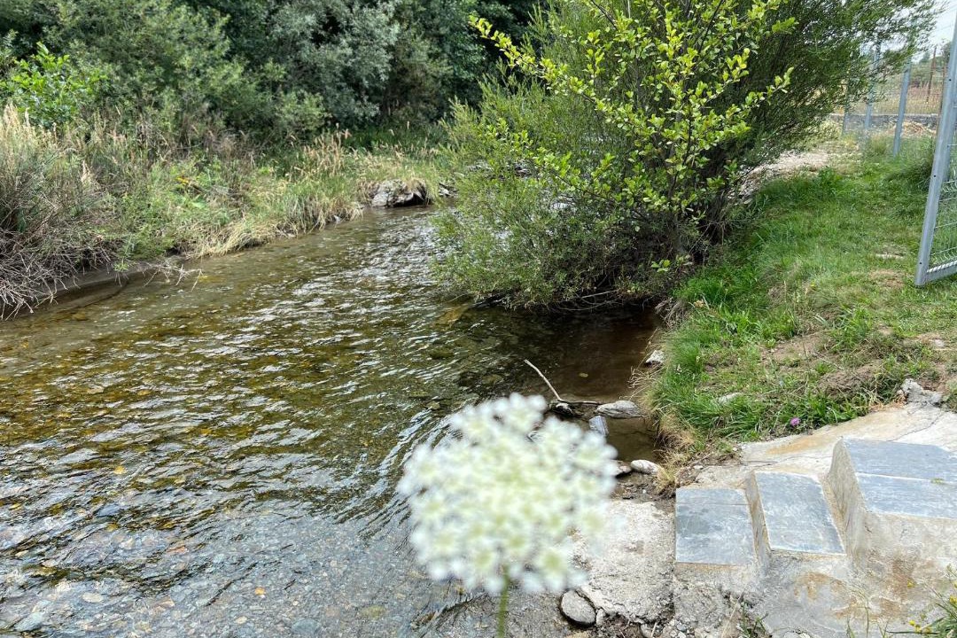 Photo of Others in Cartisoara