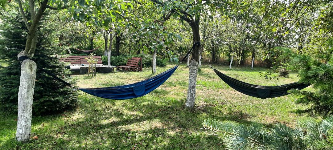 Photo of Outdoor in Bontida