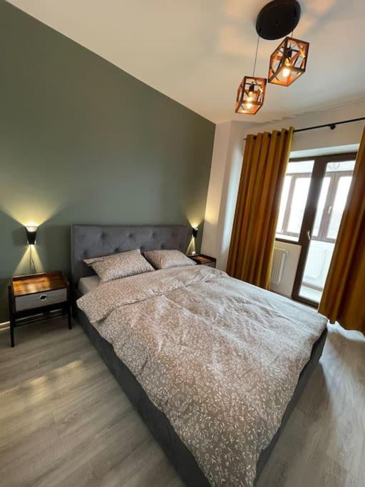 Photo of Bedroom in Iasi