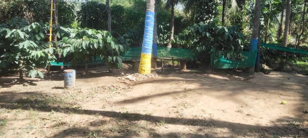 Photo of Others in Piriyapatna