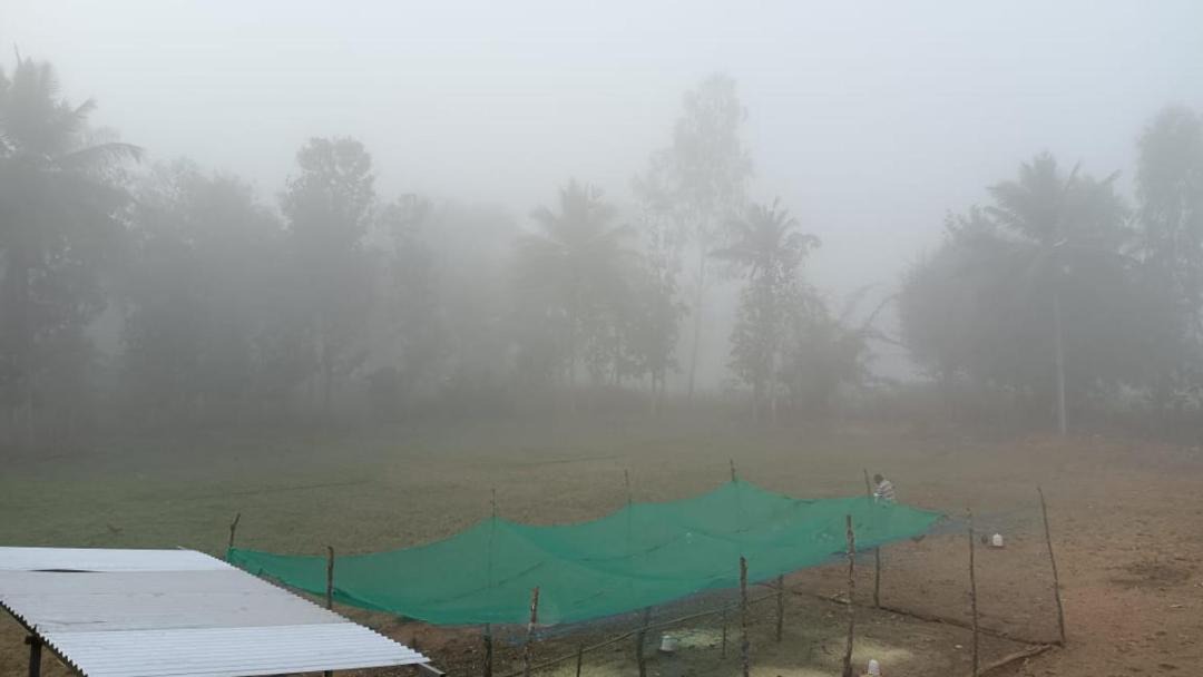 Photo of Outdoor in Piriyapatna