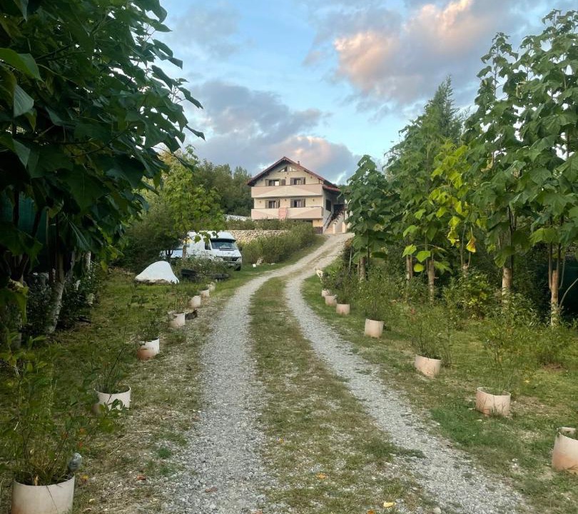 Photo of Outdoor in Pausesti-Maglasi