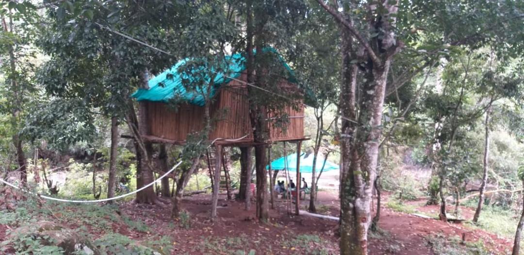 Photo of Others in Kodaikanal